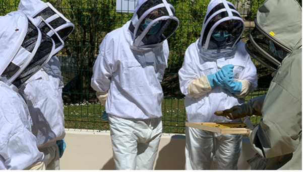 Visuel Est-il vrai que vous produisez du miel sur les sites de la RATP ?