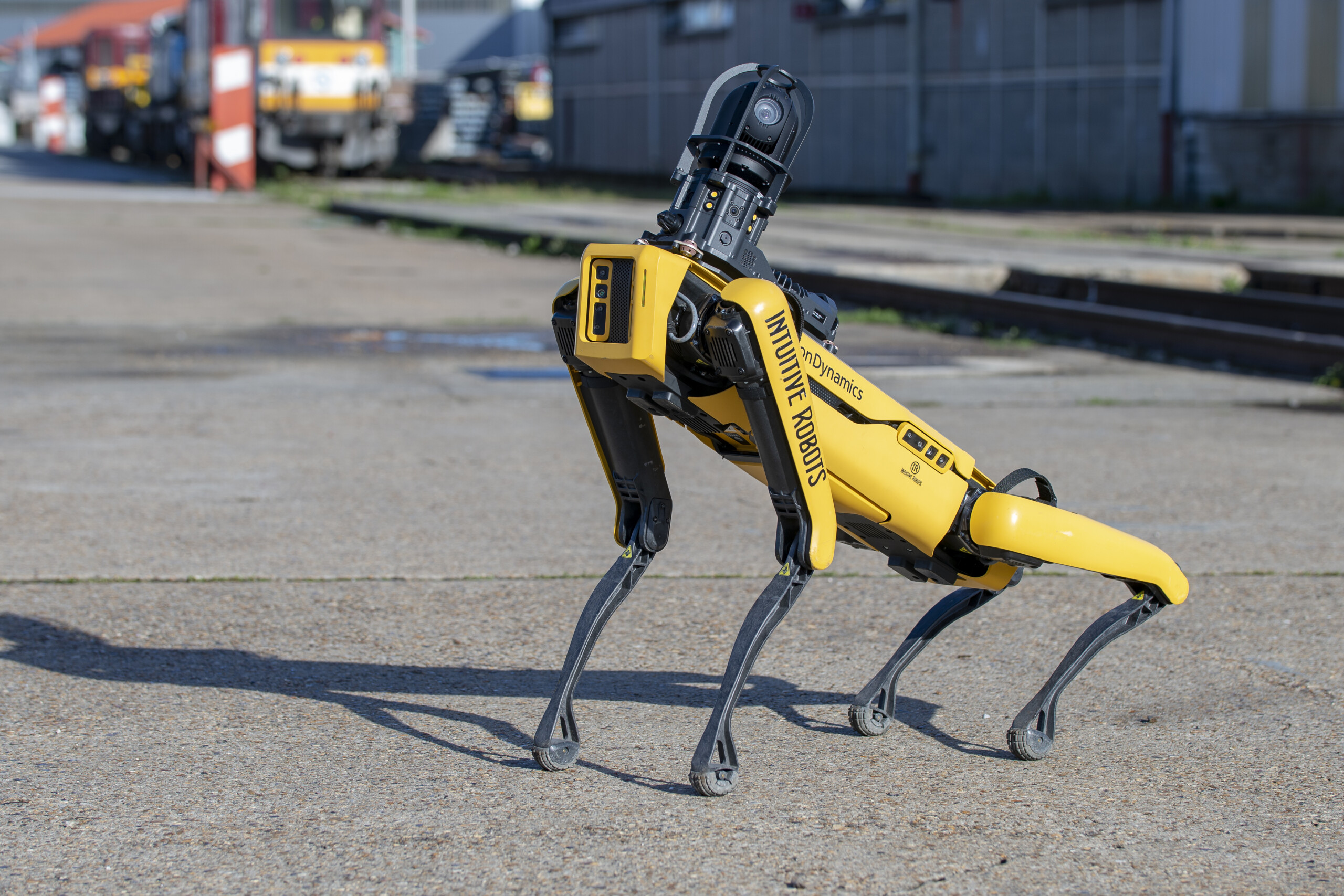 Visuel J’ai entendu parler d’un chien-robot à la RATP. À quoi sert-il ?